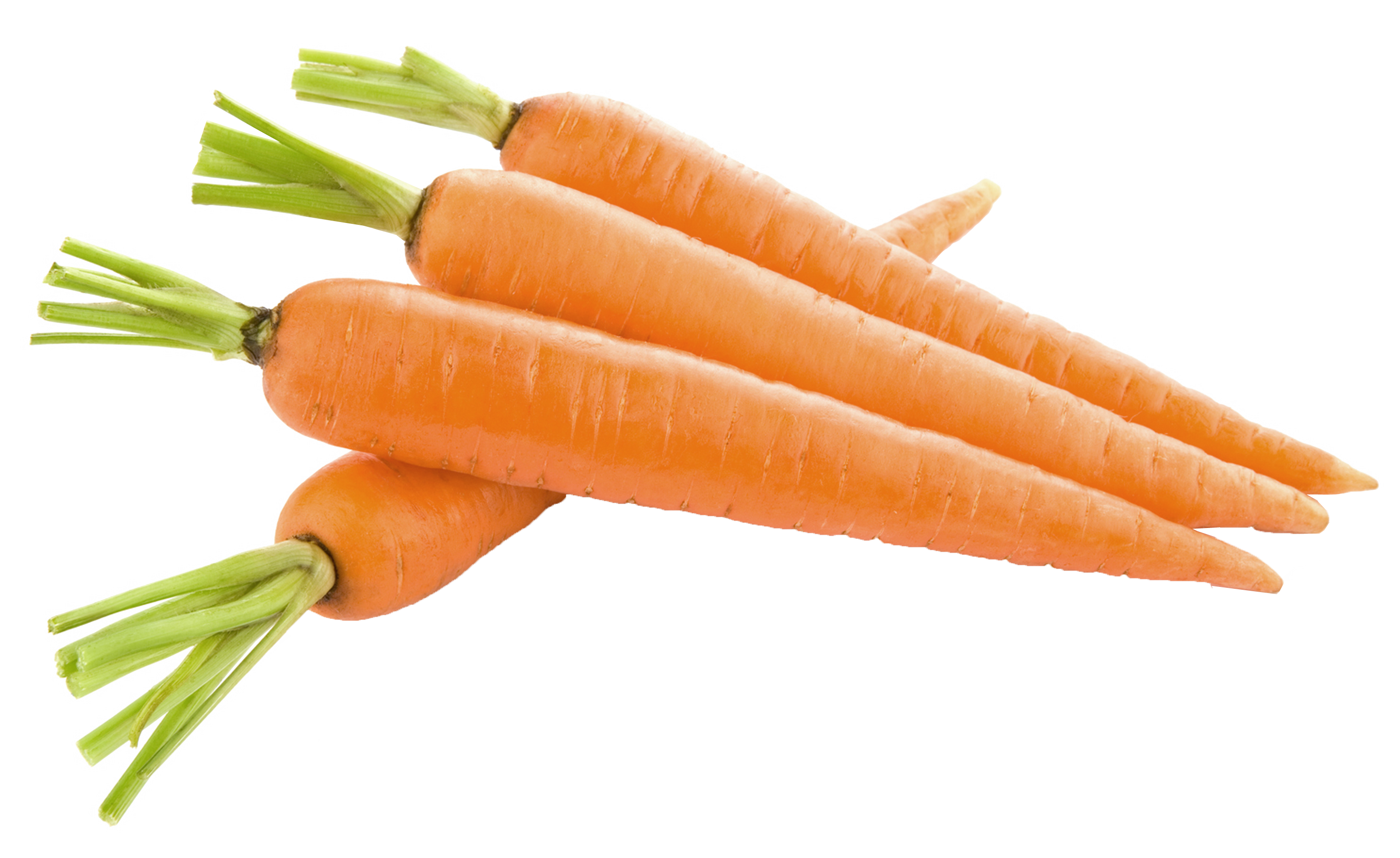 carrot_PNG4985.png